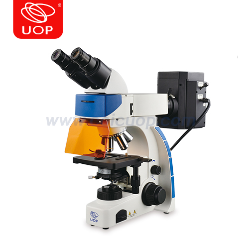 UY202i正置荧光显微镜