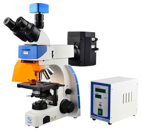 荧光显微镜构造和荧光显微镜